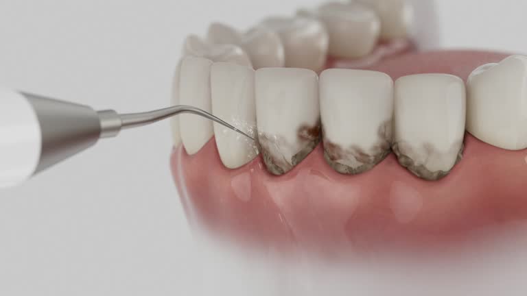 Reliable Dental contractor in Grain Valley, MO by Dentist Open Now